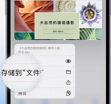 黄流镇apple维修中心分享iPhone文件应用中存储和找到下载文件