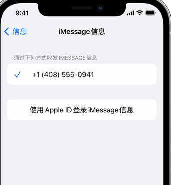 黄流镇apple维修iPhone上无法正常发送iMessage信息 