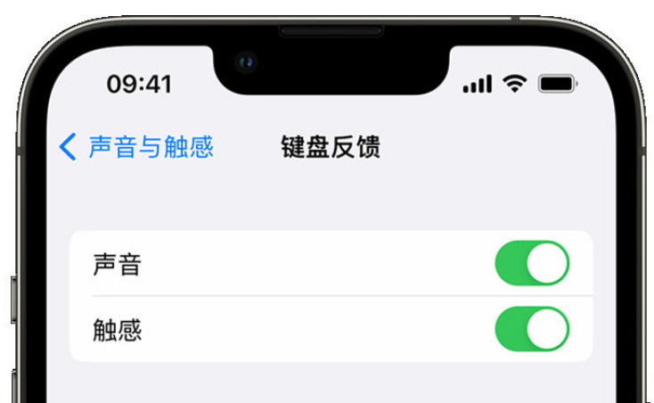 黄流镇苹果手机维修分享iPhone 14触感键盘使用方法 