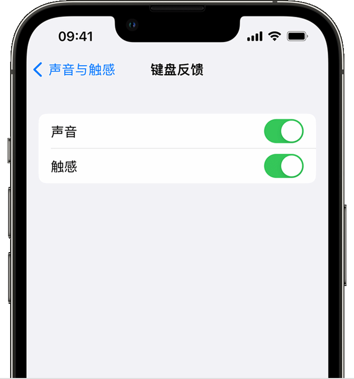 黄流镇苹果14维修店分享如何在 iPhone 14 机型中使用触感键盘 