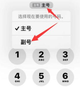 黄流镇苹果14维修店分享iPhone 14 Pro Max使用副卡打电话的方法 