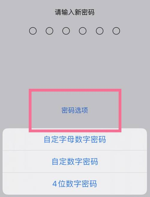 黄流镇苹果14维修分享iPhone 14plus设置密码的方法 