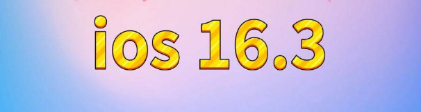 黄流镇苹果服务网点分享苹果iOS16.3升级反馈汇总 