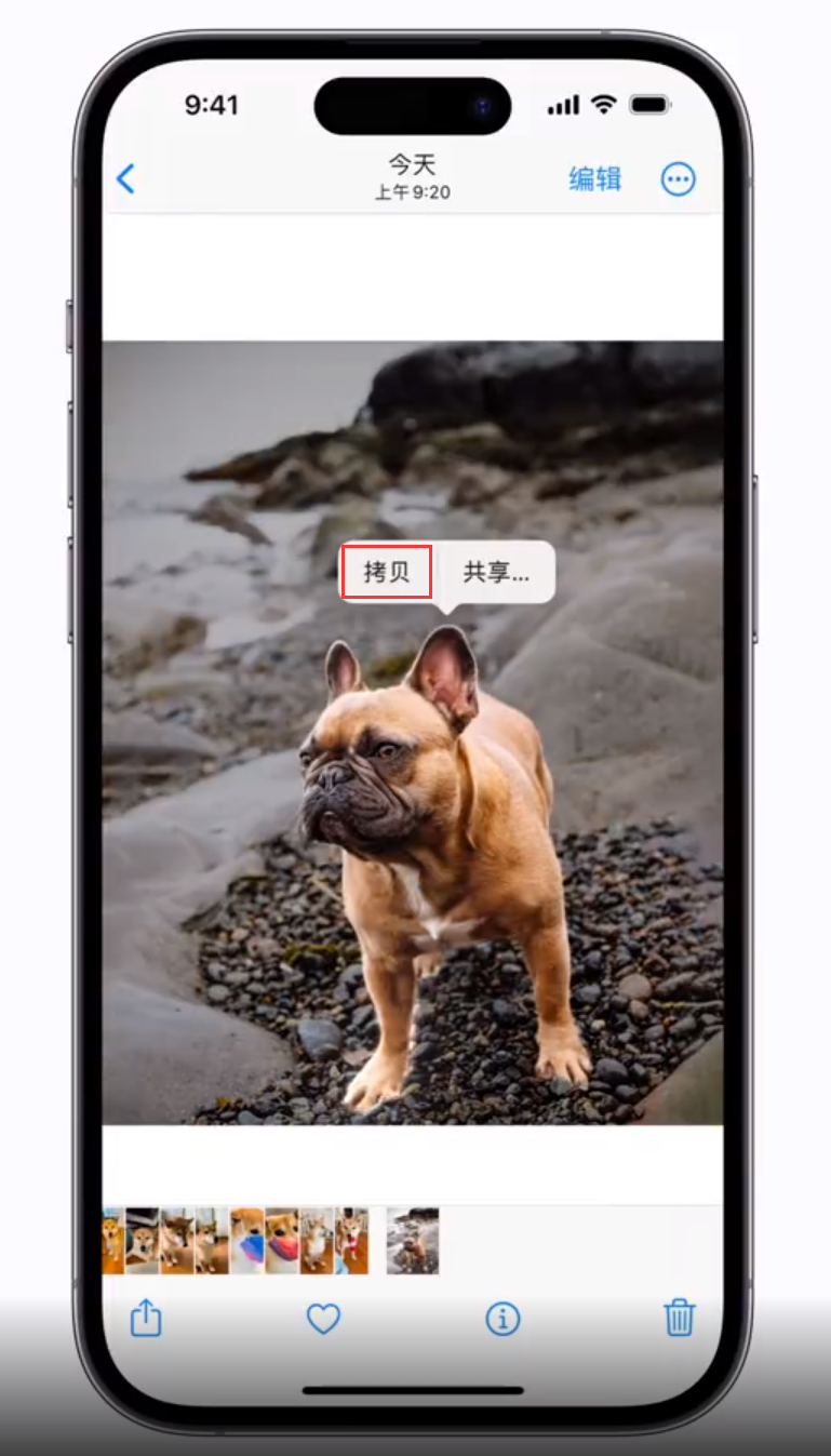 黄流镇 苹果手机维修分享iOS 16 “照片”应用更新内容与改进汇总 
