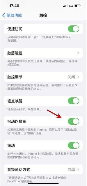 黄流镇苹果手机维修分享iPhone手机如何设置摇一摇删除文字 