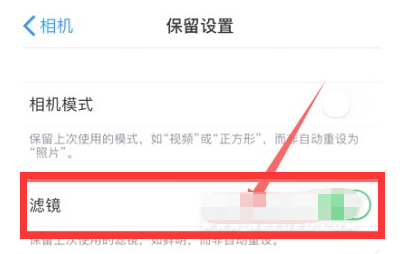 黄流镇苹果13维修分享iPhone13拍照有绿点是怎么回事 