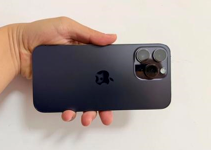 黄流镇苹果维修点分享iPhone 14 Pro Max黑屏少见故障盘点 